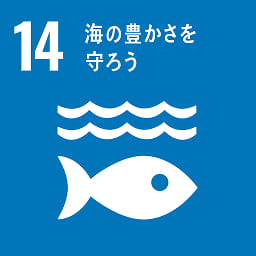 SDG 14 - 海の豊かさを守ろう